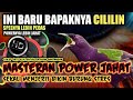 CILILIN MAH LEWAT‼️MASTERAN POWER JAHAT BIKIN BURUNG STRES || MASTERAN MURAI BATU JUARA