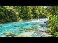 Cozy Ember ASMR 🌊 Deep Calm River | No Talking No Music | Sleep Instantly