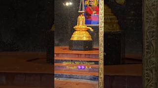 Golden Shiva Lingam Temple 🕉🕉🙏🙏|First in the world|Nagireddipalle #shorts #shortvideo #viralvideo