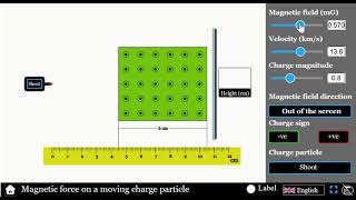 Lorentz force Simulator | Magnetic force on a Moving charge particle