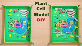 plant cell model 3d for school science fair project | DIY | howtofunda | biology project | still