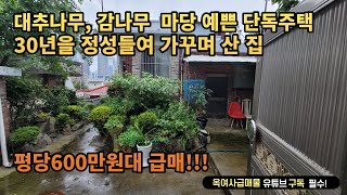 [#474] ★마당 예쁜 도심 속 전원주택같은 단독주택 급매!!!★