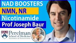 NAD Boosters - NMN, NR \u0026 Nicotinamide: The Same? | Professor Joseph Baur Interview Series Episode3