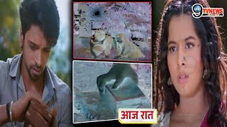 Prem Leela : आज रात सामने आएगा 20 साल पहले हुआ हादसा,खुलेगा बचपन से Leela-Prem का Connection का राज़