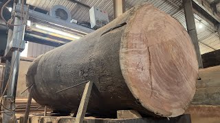 Wood Processing Products | Extreme Wood Cutting Sawmill Machines, Rosewood Giant 100 Year Old