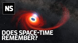 Florian Neukart: 'Does space-time remember?'
