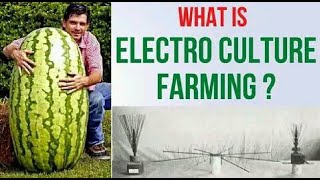 What Is Electro Culture Farming ?