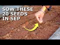 20 Seeds to Grow in September