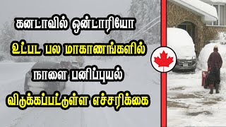 கனடாவில் ஒன்டாரியோ உட்பட பல மாகாணங்களில் நாளை பனிப்புயல் - விடுக்கப்பட்டுள்ள எச்சரிக்கை