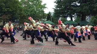 2017 10 21　第20回YOSAKOIさせぼ祭り　サンプラザ松浦公園会場　青春グランプリ予選　獲天