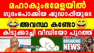 ഇവറ്റകൾക്ക് വേണ്ടത് ഇത് തന്നെ, വെല്ലുവിളി ഏറ്റെടുക്കുന്നോ കാ-ക്കച്ചീസ്, പൊളി വീഡിയോ... 😄😂