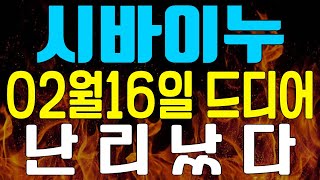 시바이누 코인 -  🔴여러분!!! 02월16일 드디어 난리났습니다! 최소 4배 폭등\