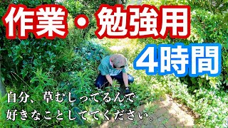 【作業用動画】一緒に草むしりしよ？【BGM・自然音・鳥・風・草刈り】