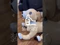 足裏パッド、つけてみた shorts aibo toys 可愛い アイボ 散歩