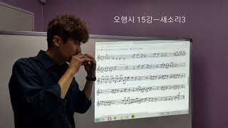 오행시15강(새소리3)숙련자용 오카리나강의ㅡ하지훈(이태영오카리나Sc)ocarina