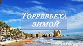 Погода в Торревьехе зимой