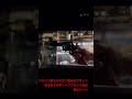 我が家のトイガン・ディスプレイ＆トイガン試射・vol.１８・smithwesson.revolver・２丁！ 【Ｍ５８６】＆【Ｍ６８６】 トイガン youtubeショート