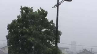 2017.7.4の風