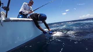 Marlin Fishing in Cabo San Lucas @Renegademike