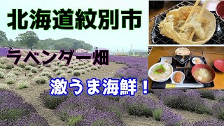 【北海道ぼっち旅】紋別市 ラベンダー畑と超ウマイ海鮮定食のお店