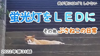 キッチンの蛍光灯をＬＥＤに交換【2022年31話】ぶさねこの日常