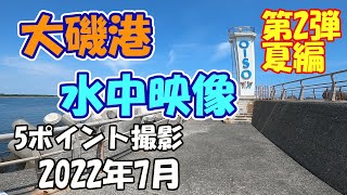 大磯港　水中動画  第2弾夏編。5ポイント撮影2022年7月水中動画