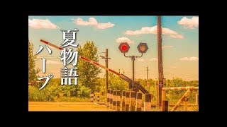 夏の物語が始まりそうな、癒しの音楽【リラックスBGM】