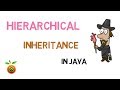 35 - Hierarchical inheritance in Java