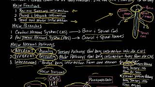 Paramedic Neurology 2017 Part 1