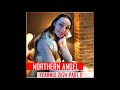 northern angel yearmix 2k24 part ii top 55 uplifting trance