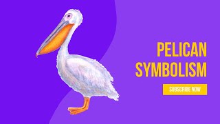 Pelican Symbolism: Spiritual Meaning and Significance