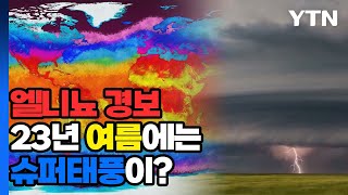 이상기후의 주범 엘니뇨, 우리나라는? / YTN