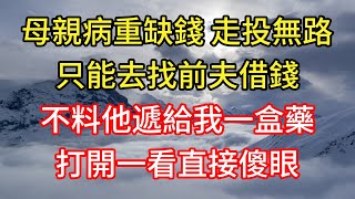 母親病重缺錢 走投無路！只能去找前夫借錢！不料他遞給我一盒藥！打開一看直接傻眼！