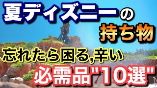 [解説]2023.7-8月ディズニーは舐めたら終わる...忘れたら困る必需品\