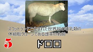 【懐かしクイズ1997年】あの頃を覚えていますか？【全10問】