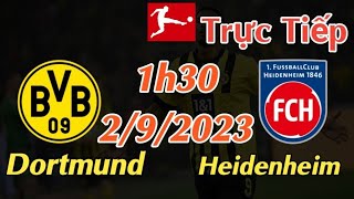 Soi kèo trực tiếp Dortmund vs Heidenheim - 1h30 Ngày 2/9/2023 - vòng 3 Bundesliga 2023/24