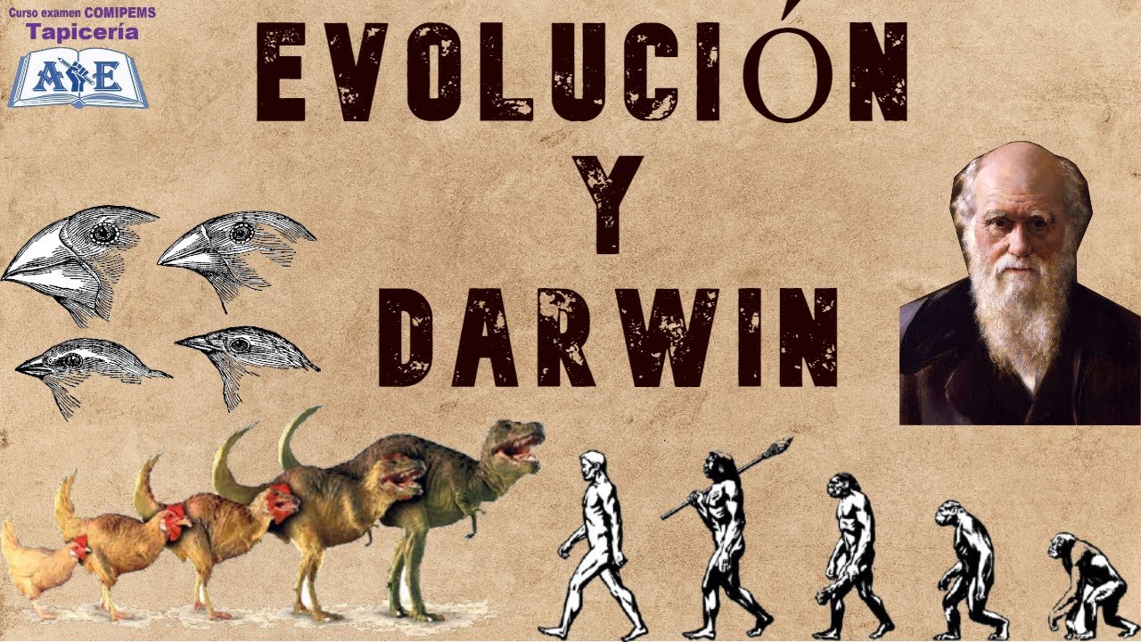 COMIPEMS | Evolución | Darwin Y Sus Aportaciones Para Explicar La ...