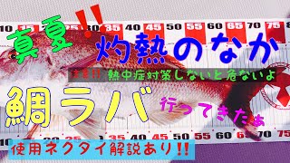 【鯛ラバ】【明石海峡】どんなパターンで釣れるのか⁉️ 動画後半使用ネクタイ晒します‼️究極じゃない神経締め