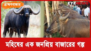 ব্রাহ্মণবাজার :  হাজারো মহিষ ওঠে এই বাজারে | Buffalo | Buffalo Market | Brahmanbazar | Eye News