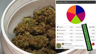 Adven® Cura-8 T21 High Silver Medical Cannabis - UK REVIEW