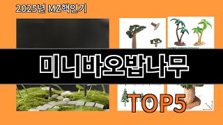 미니바오밥나무 후기 좋은 알리익스프레스 베스트셀러 BEST 10