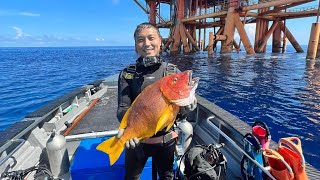 南油打魚20220831終於都打到石蚌喇🤭鐵鱗/紅鮋/白瓜子/大章紅/黑瓜子/沙巴龍躉/￼￼石蚌/木王