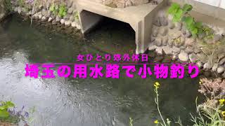 埼玉県都幾川付近の用水路で小物釣り