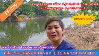 EP.239 อัพเดท ที่ดินริมแม่น้ำนครนายก ลดราคา เหลือ7,500,000 ฿ ถมสูง1เมตร โฉนด\