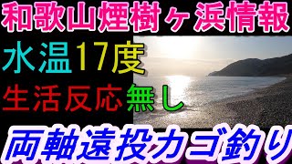 02-17　煙樹ケ浜釣り情報・実釣編