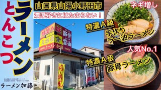 『ラーメン加藤』特濃A級 豚骨ラーメン！山陽小野田市【ラーメン】