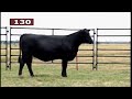 lot 130