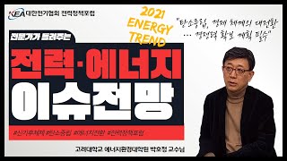 [전력정책포럼 연속인터뷰] 전문가에게 듣는 2021 전력·에너지 트렌드(2) 박호정 고려대학교 에너지환경대학원 교수