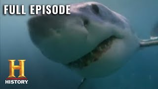 MonsterQuest: TERRIFYING 60 FOOT SHARK - Full Episode (S3, E7) | History