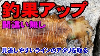 釣果アップ間違い無し！？【エギング】見逃しやすいラインのあたりを取ろう！！